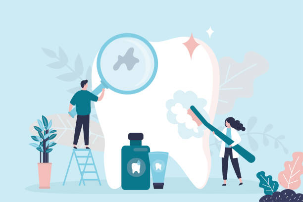 Professional Holistic Dental Care Services in Fruit Heights, UT